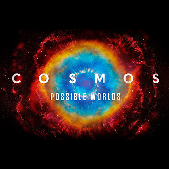 Cosmos Possible Worlds